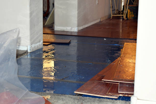 Professional Sewage Cleanup technician working in Holton, KS